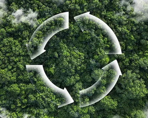 L'esportazione di prodotti chimici e fertilizzanti è in costante aumento
